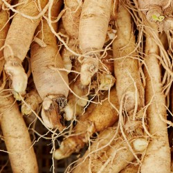 Ginseng silver